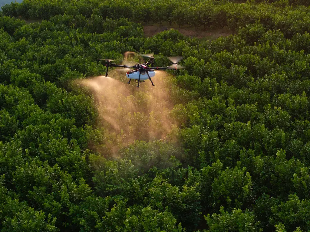XAG P150 Max agricultural drone flying and spraying a crop